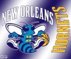 Logo New Orleans Hornets, NBA takımı. Güneybatı Grubu, Batı Konferansı